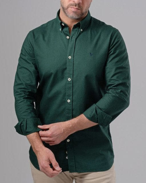 LONG SLEEVE PLAIN OXFORD SHIRT - OLIVE - Dockland